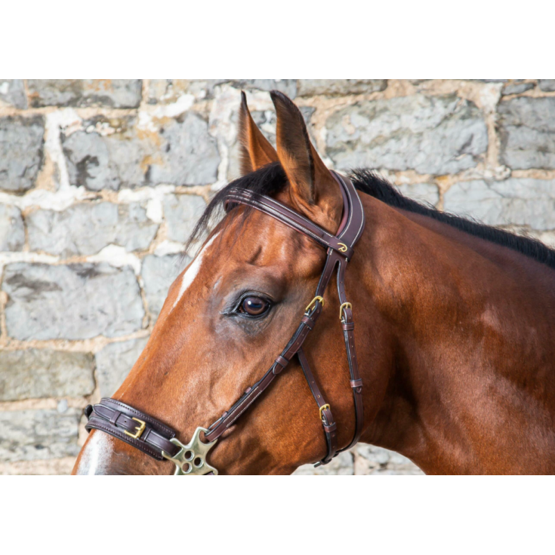 Hackamore Headpiece - D Collection