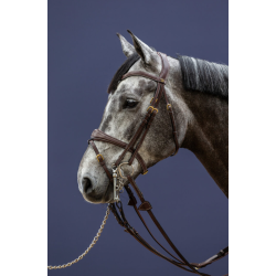 Double Bridle Headpiece - D...