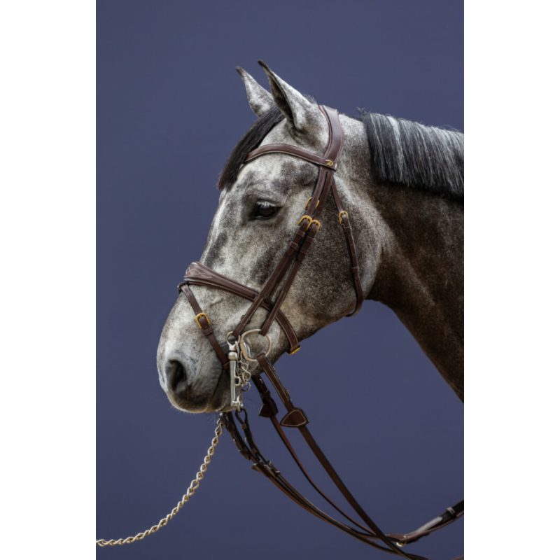 Double Bridle Headpiece - D Collection