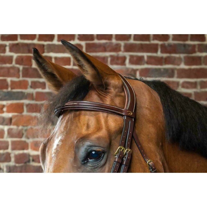 Straight Browband - D Collection