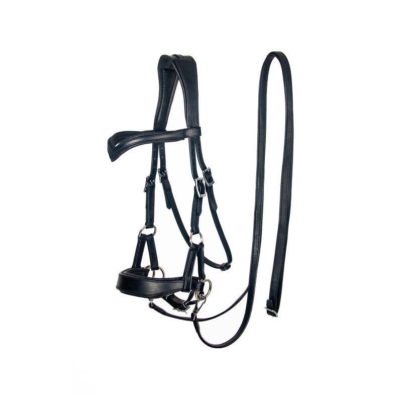 Aruba Bitless Bridle - FRA
