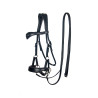 Aruba Bitless Bridle - FRA