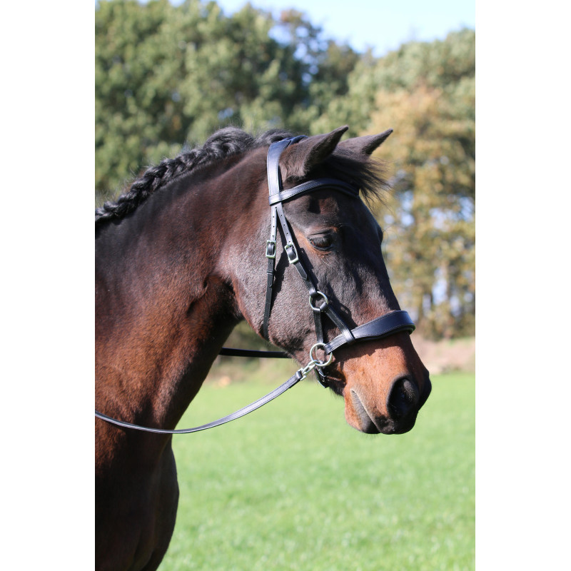 Aruba Bitless Bridle - FRA