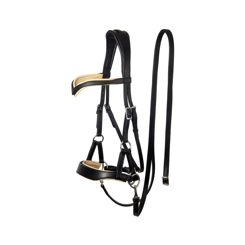 Aruba Bitless Bridle - FRA