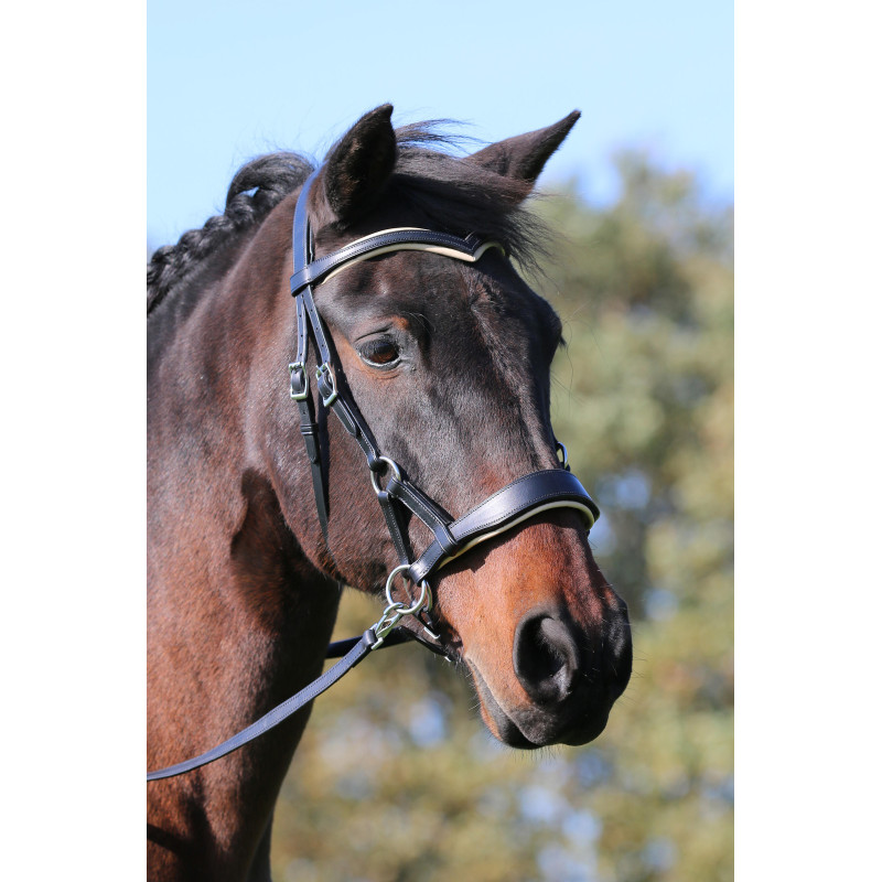 Aruba Bitless Bridle - FRA