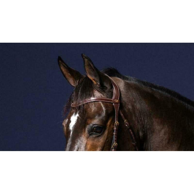 Flat Leather V-Shaped Browband - D Collection