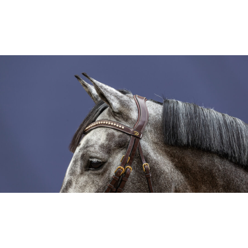 White Diamond Browband - New English Dy'on