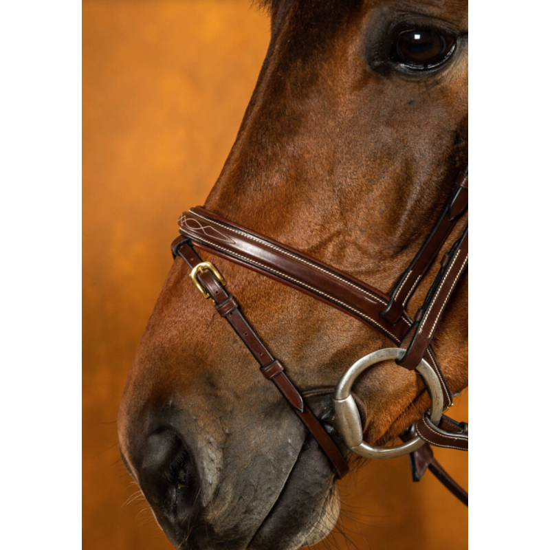 Flash Noseband - D Collection