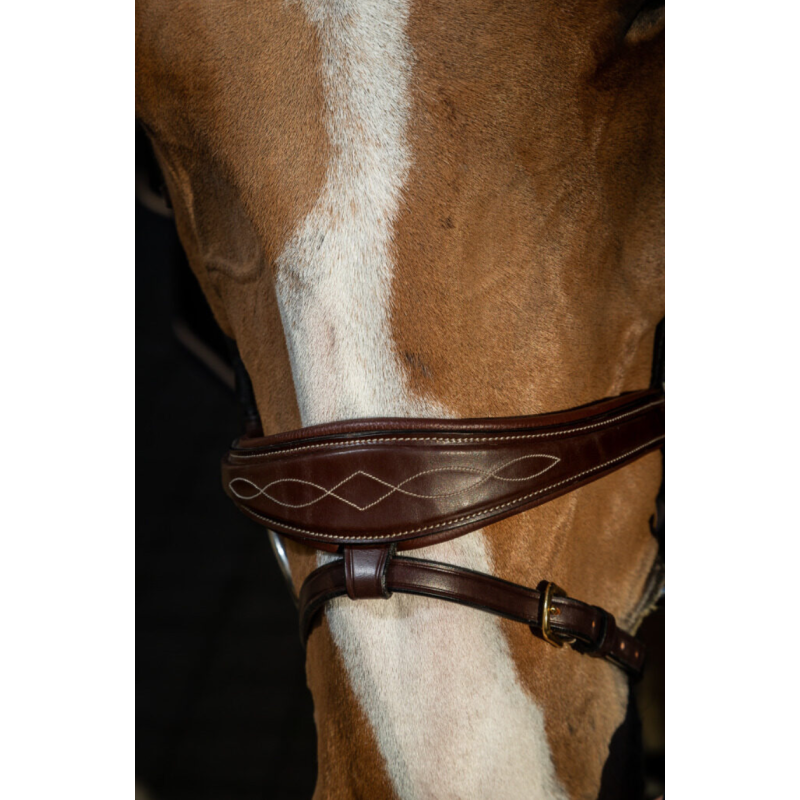 Anatomic Flash Noseband - D Collection