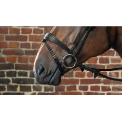 Anatomic Flash Noseband - D...