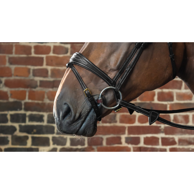 Anatomic Flash Noseband - D Collection