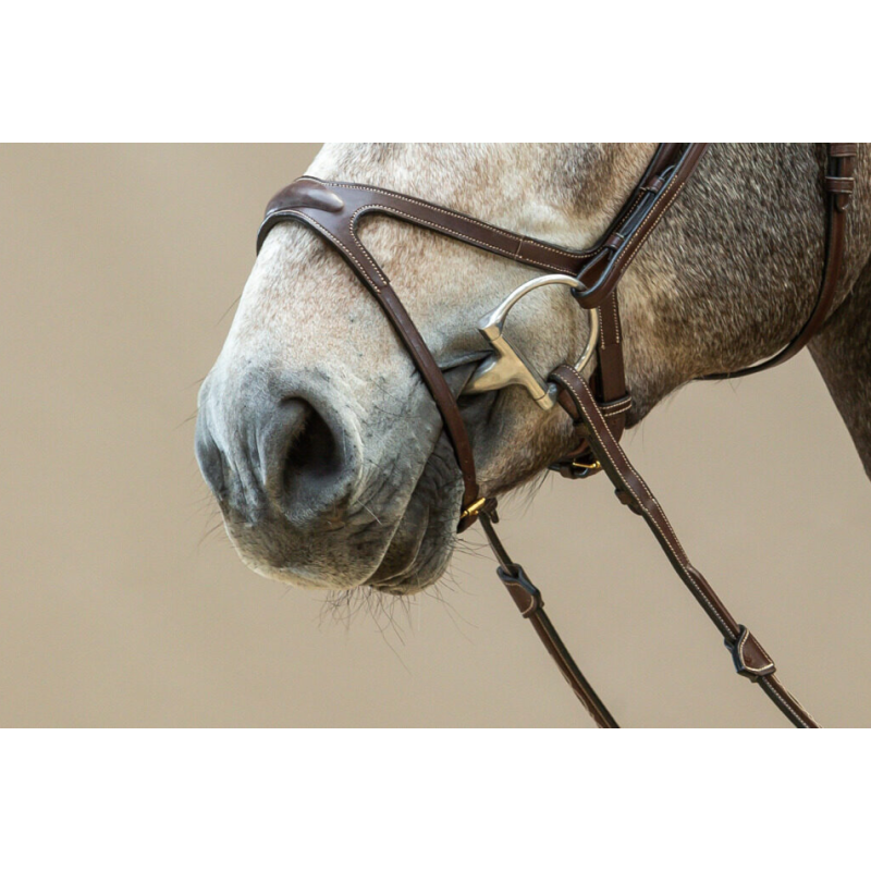 X-Fit Noseband - D Collection