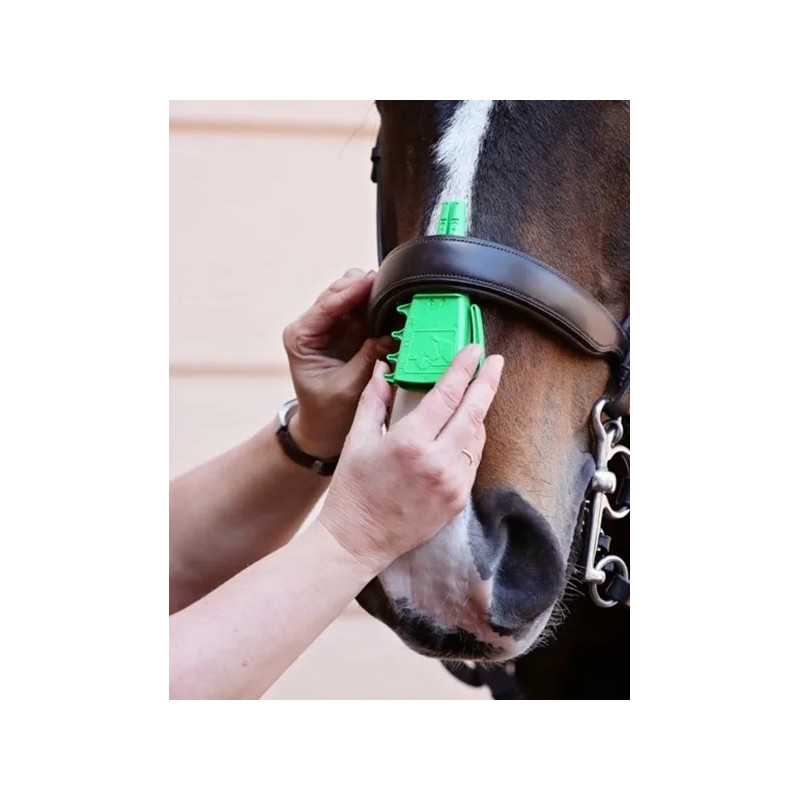 Noseband Taper Gauge
