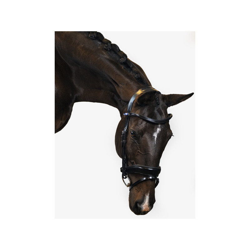 Flying Change Bridle