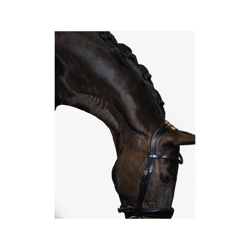 Flying Change Bridle