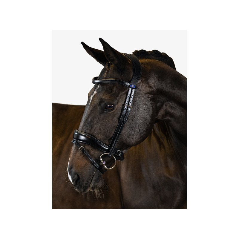 Flying Change Bridle