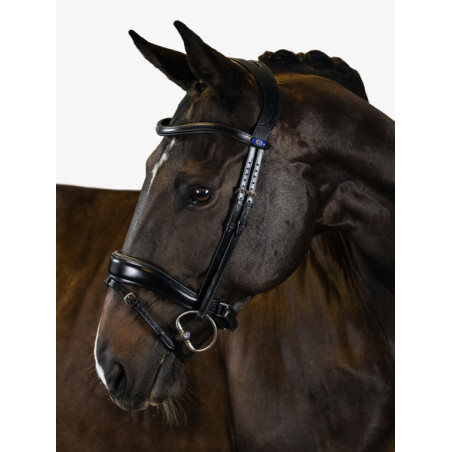 Flying Change Bridle