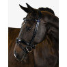 Flying Change Bridle