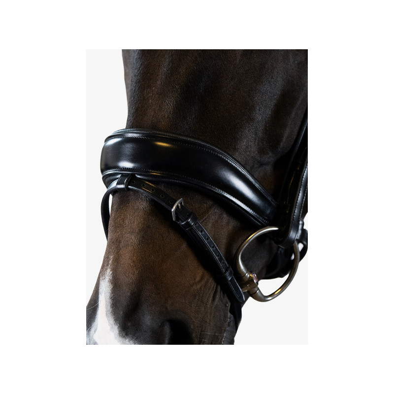 Flying Change Bridle