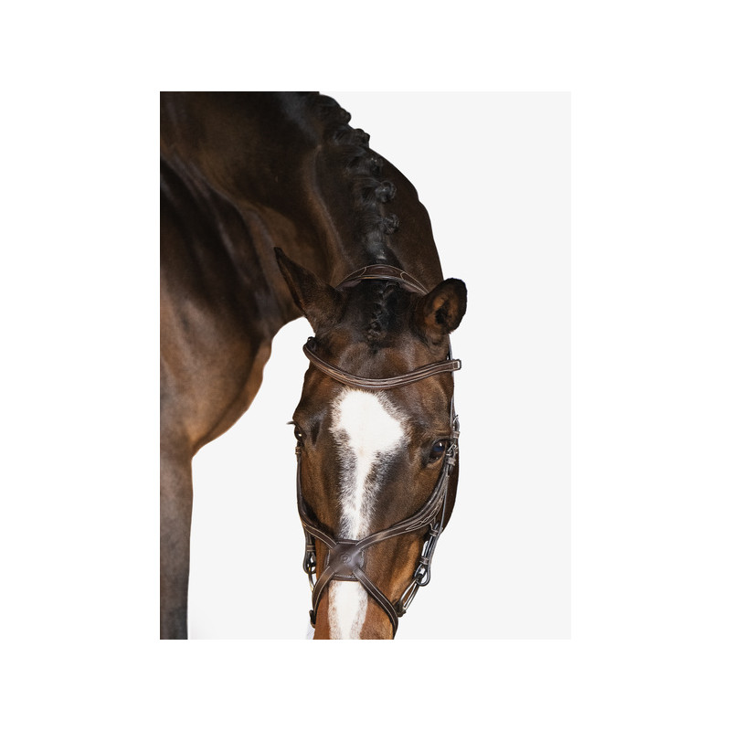 Athens Bridle
