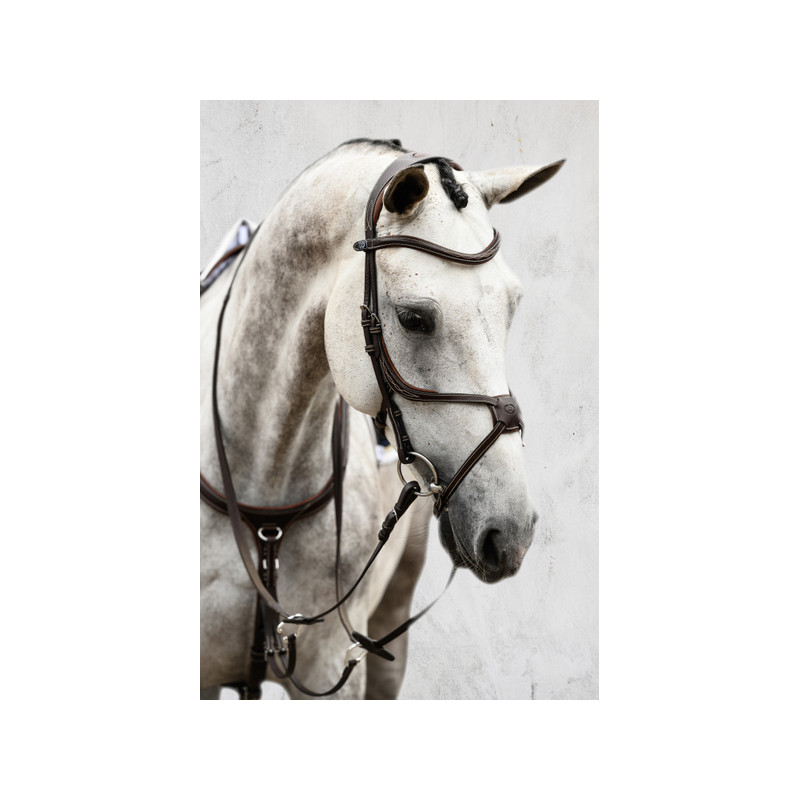 Athens Bridle