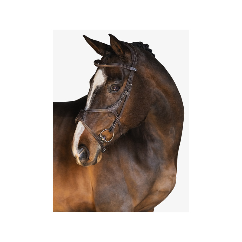Athens Bridle