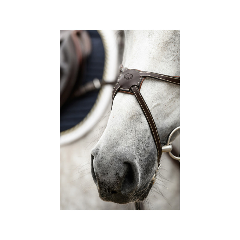 Athens Bridle