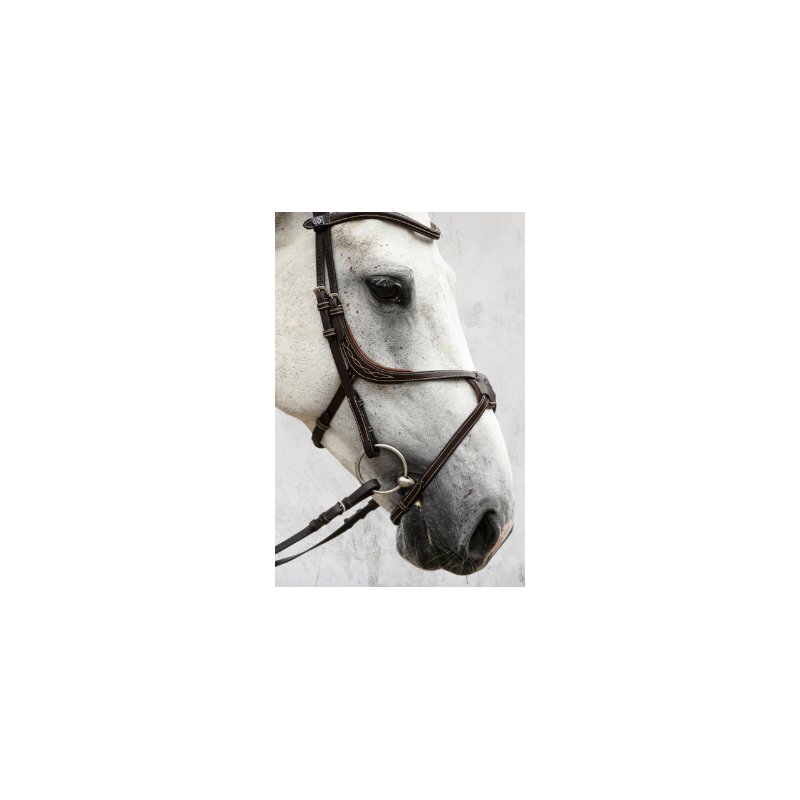 Athens Bridle