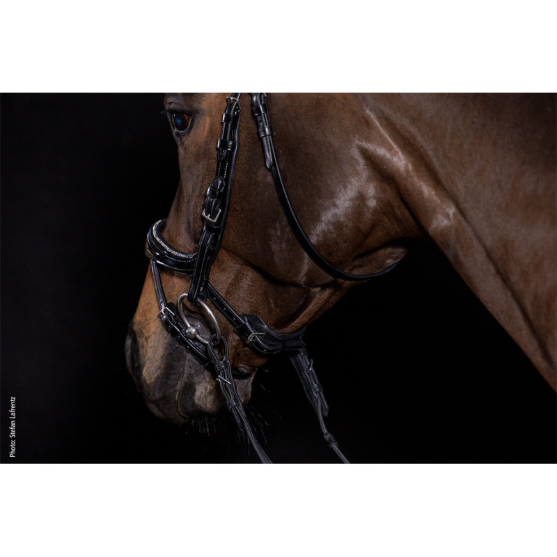 Bridle Equitus Beta Glam