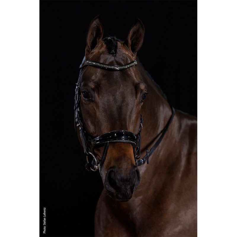 Bridle Equitus Beta Glam
