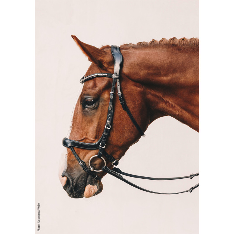Bridle Equitus Omega