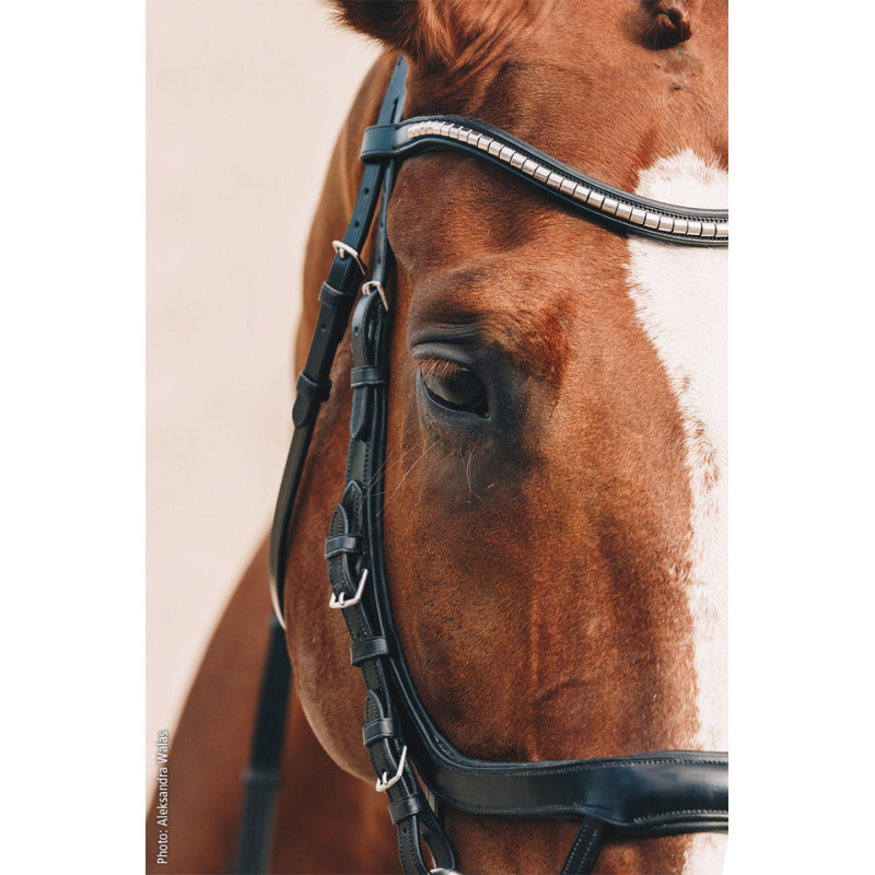 Bridle Equitus Omega