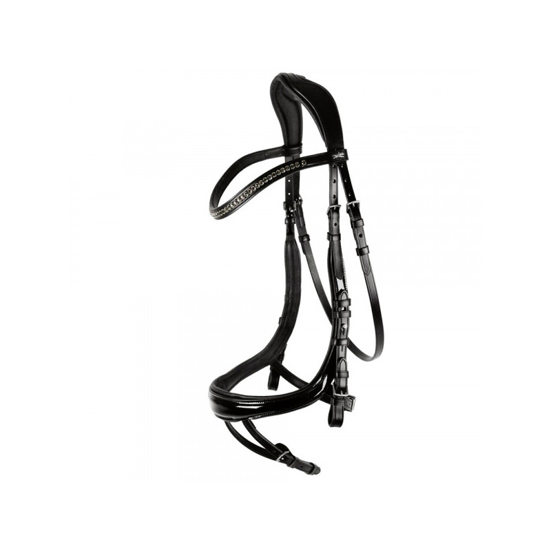 Bridle Equitus Beta