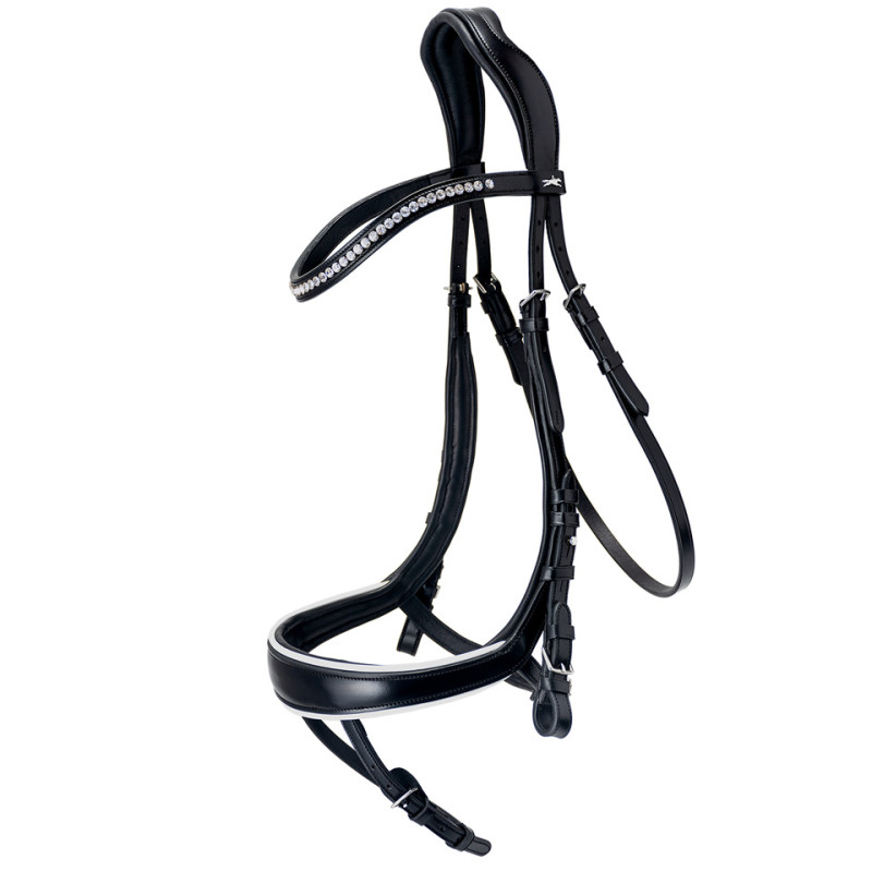 Bridle Equitus Beta
