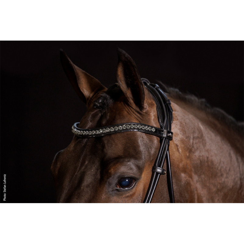 WESTMINSTER Bridle