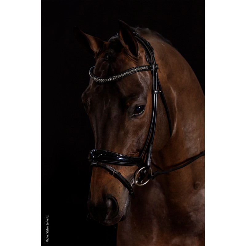 WESTMINSTER Bridle