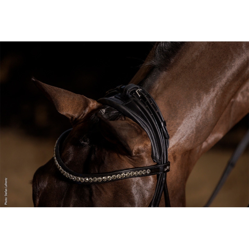 WESTMINSTER Bridle