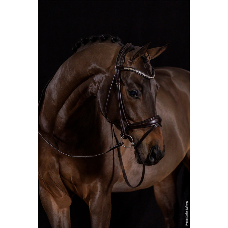 WESTMINSTER Bridle