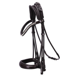 KENSINGTON double bridle