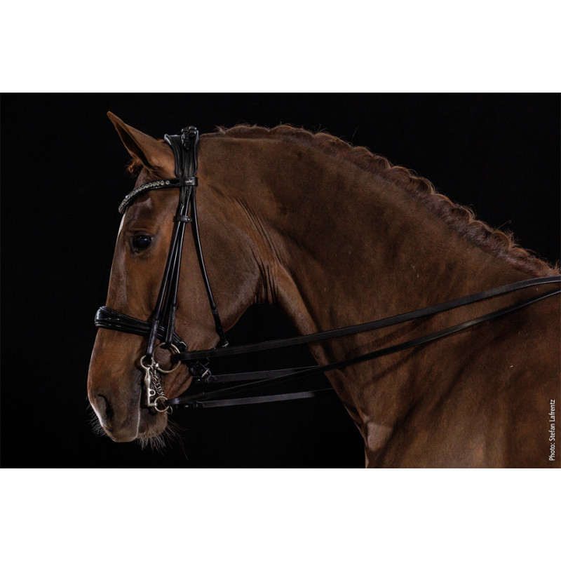 KENSINGTON double bridle