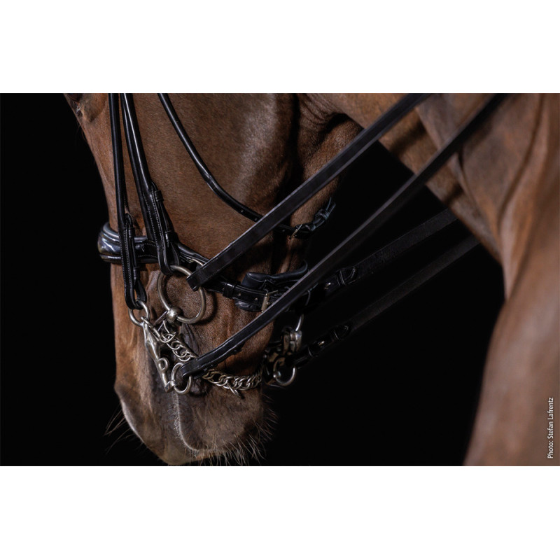 KENSINGTON double bridle