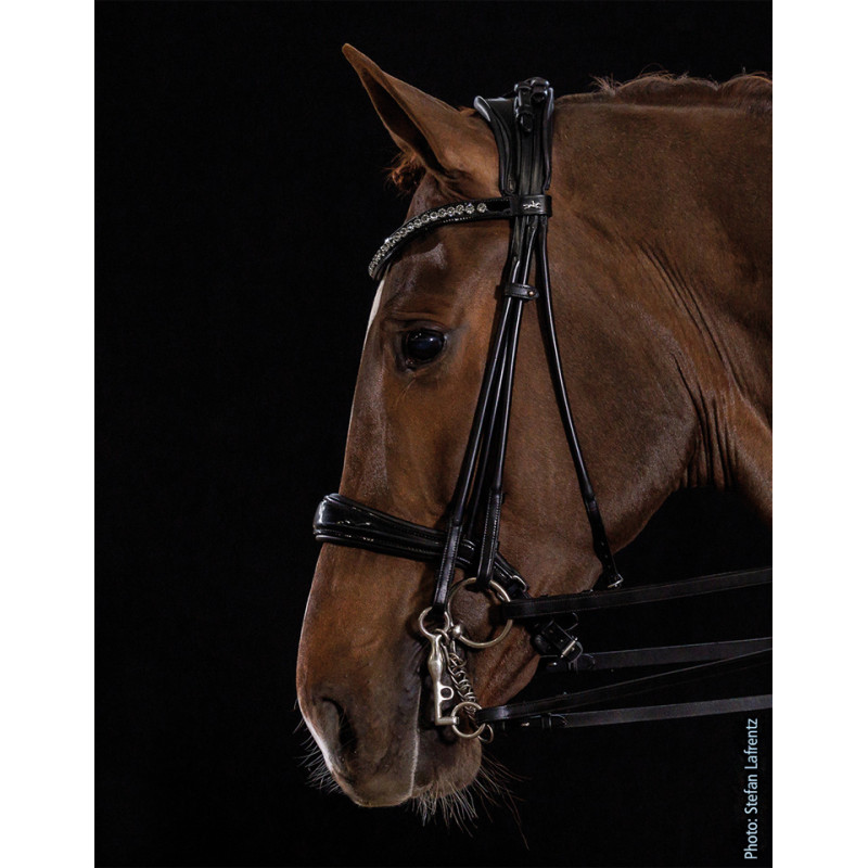 KENSINGTON double bridle