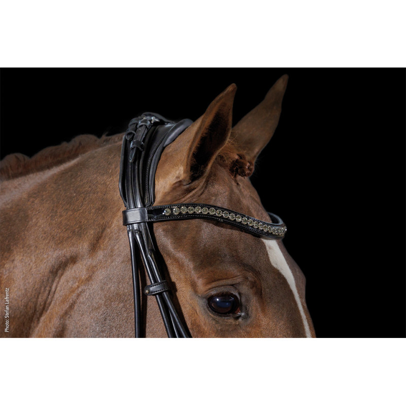 KENSINGTON double bridle