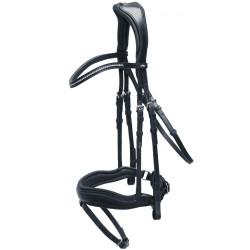 Select Stanford Bridle