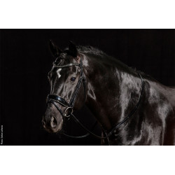 Select Stanford GLAM Bridle
