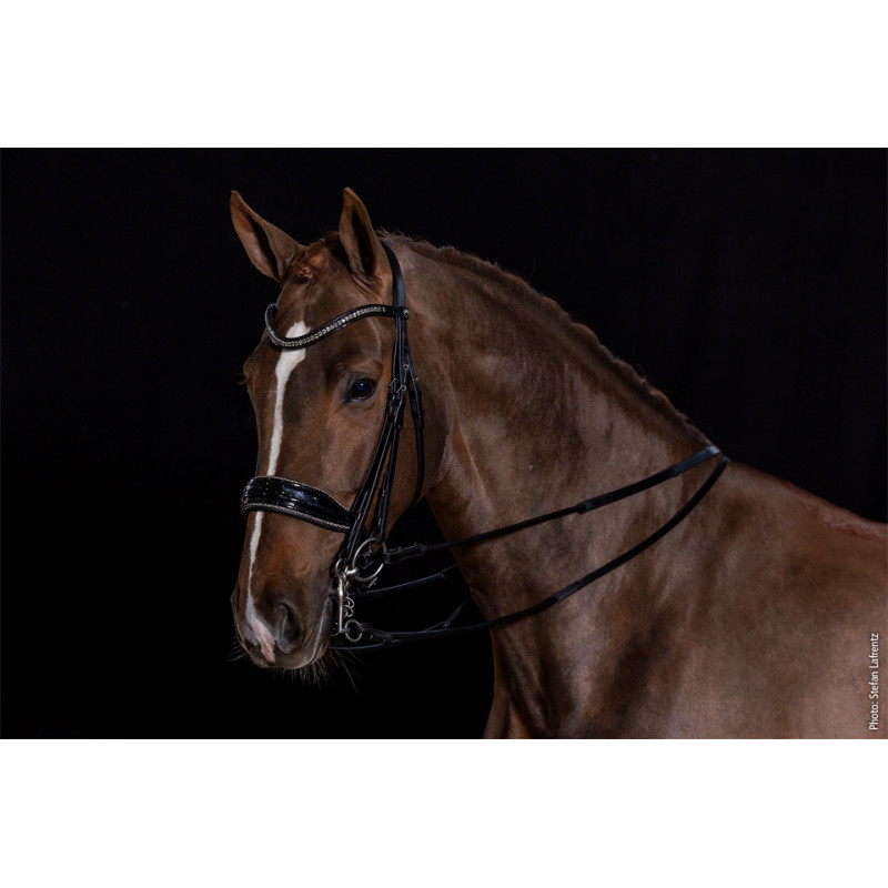 Select Bridle Milan Glam