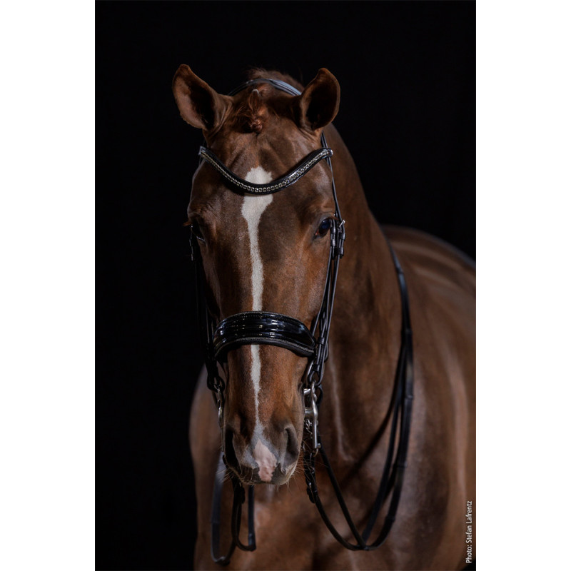 Select Bridle Milan Glam