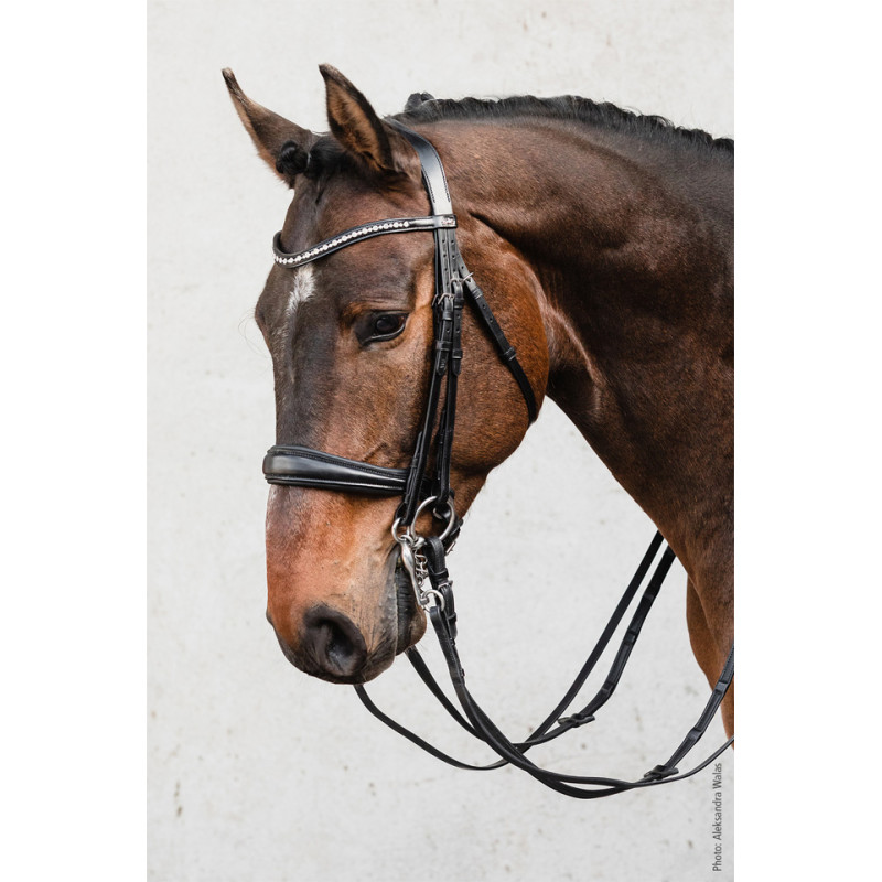 Equitus Milton double Bridle