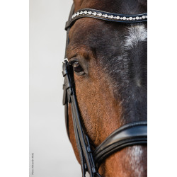 Equitus Milton double Bridle