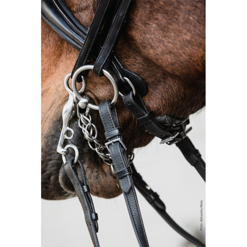 Equitus Milton double Bridle